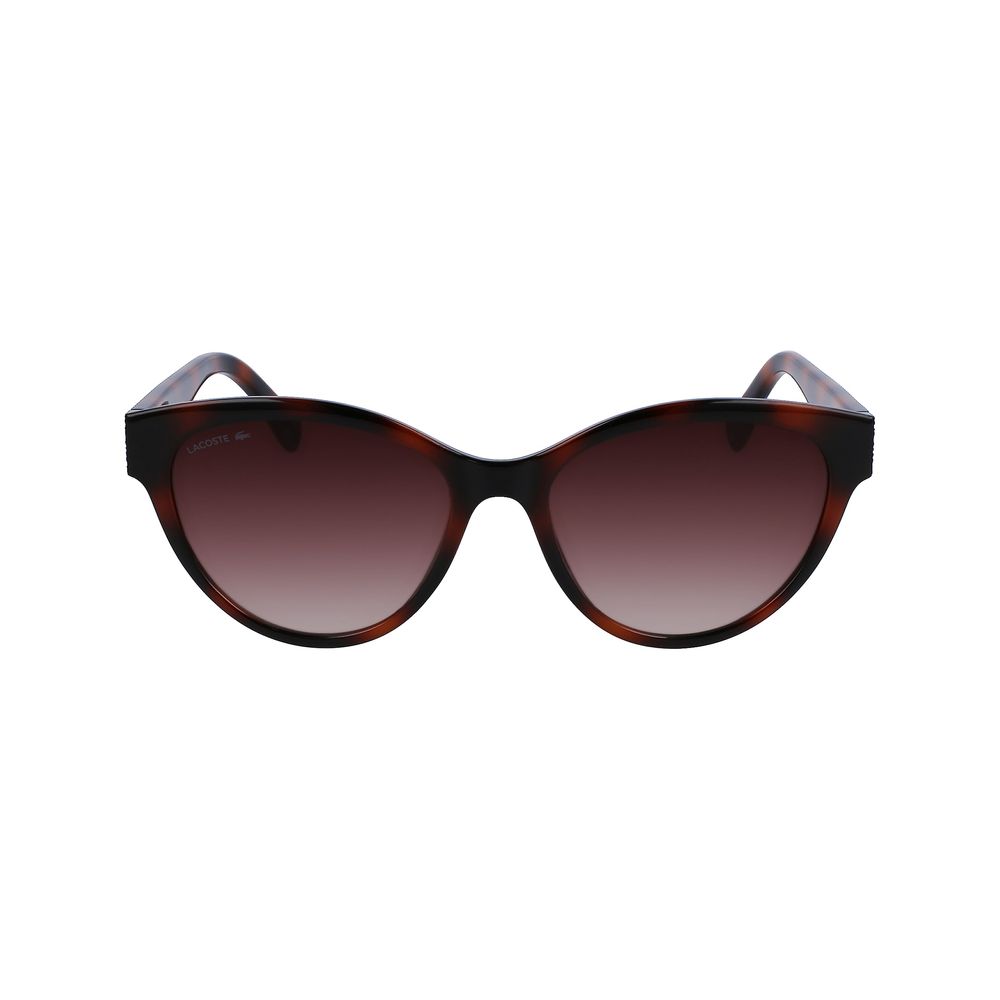 Lacoste Brown Injected Sunglasses - Image 2