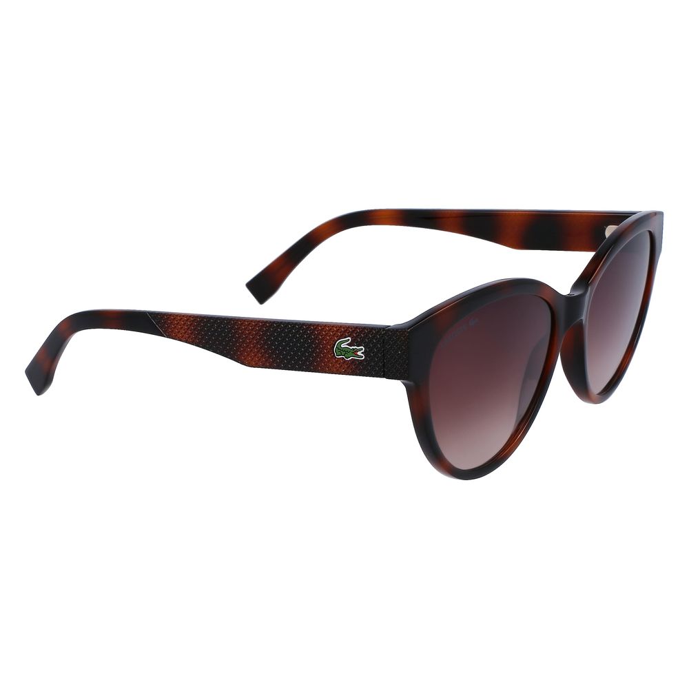 Lacoste Brown Injected Sunglasses - Image 3