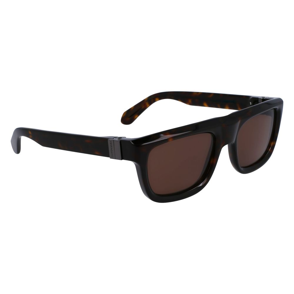 Ferragamo Brown Acetate Sunglasses - Image 3